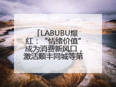 LABUBU爆红：“情绪价值”成为消费新风口，激活顺丰同城等第三方即配