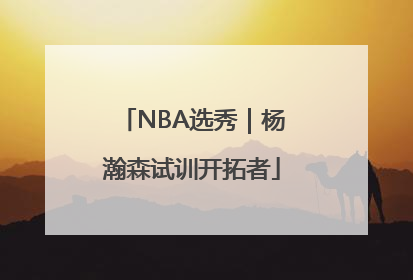 NBA选秀｜杨瀚森试训开拓者