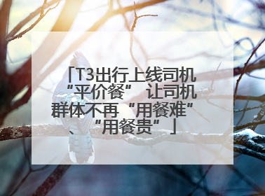 T3出行上线司机“平价餐” 让司机群体不再“用餐难”、“用餐贵”
